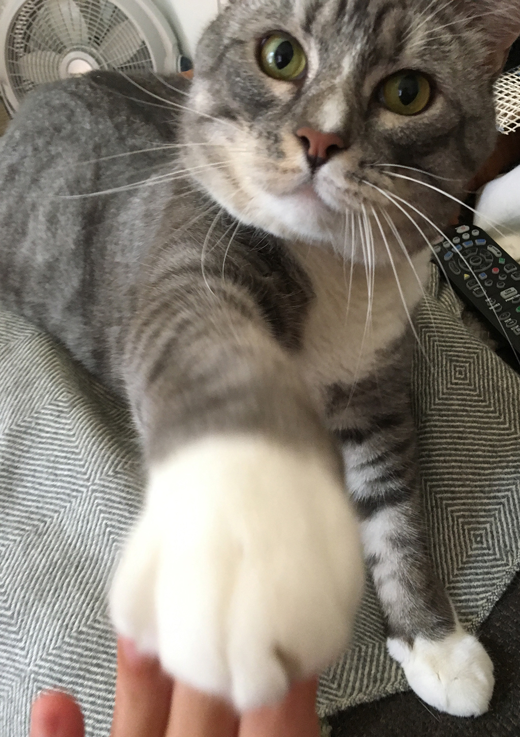 High Five High Five